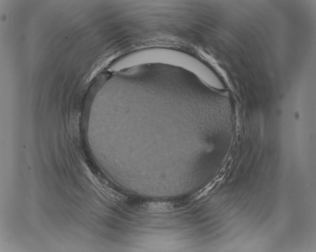 X0000066530154200604071625