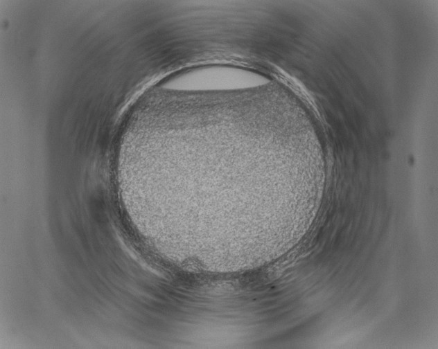 X0000066530155200604071625