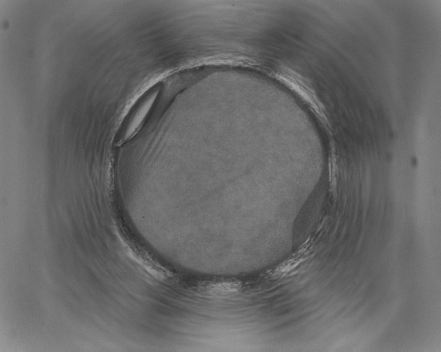 X0000066530156200604071626