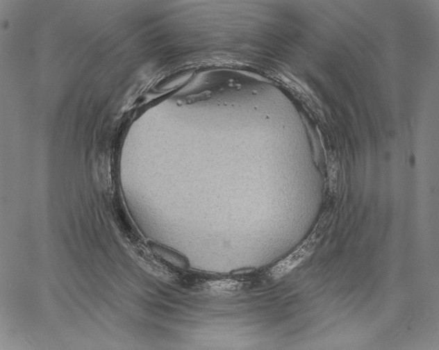 X0000066530158200604071626