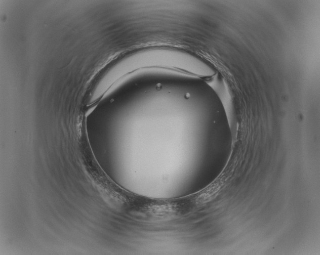 X0000066530160200604071626