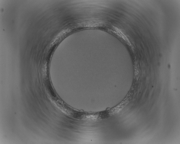 X0000066530163200604071626