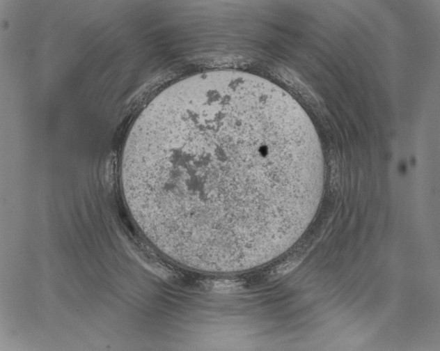 X0000066530165200604071626