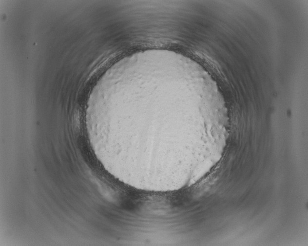 X0000066530166200604071626