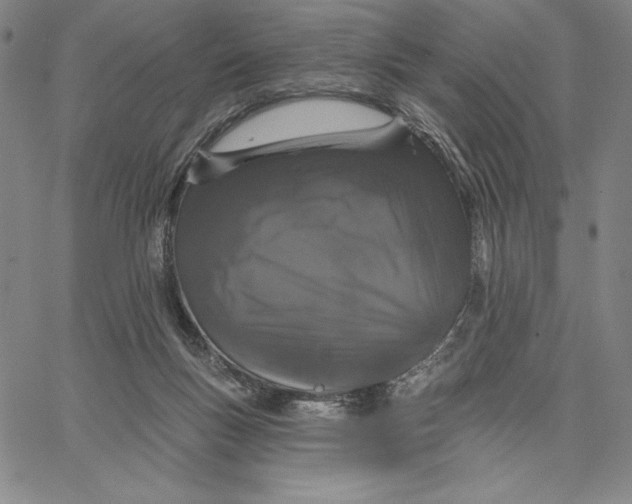 X0000066530167200604071626