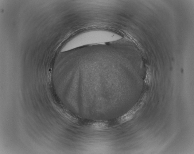 X0000066530168200604071626