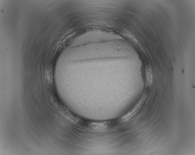 X0000066530170200604071626