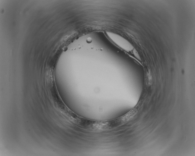 X0000066530172200604071626