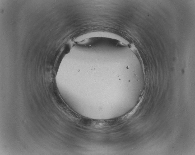 X0000066530174200604071626