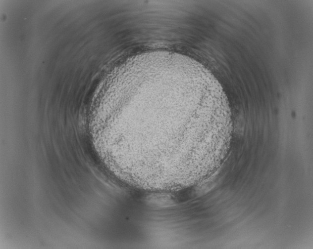 X0000066530179200604071626