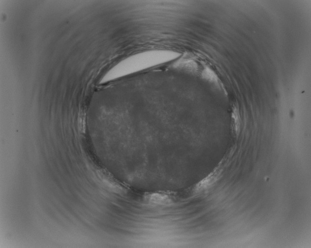 X0000066530180200604071626