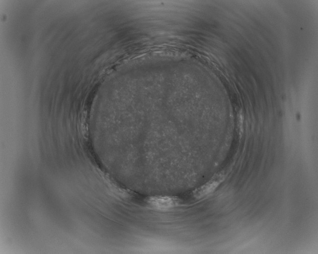 X0000066530181200604071626