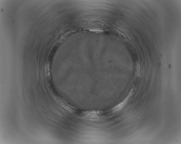 X0000066530182200604071626