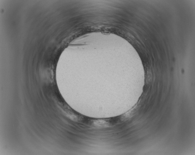 X0000066530183200604071626