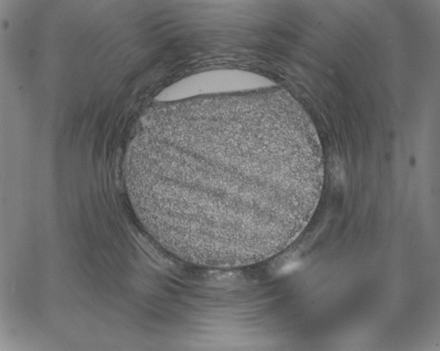 X0000066530185200604071626