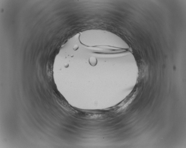 X0000066530186200604071626