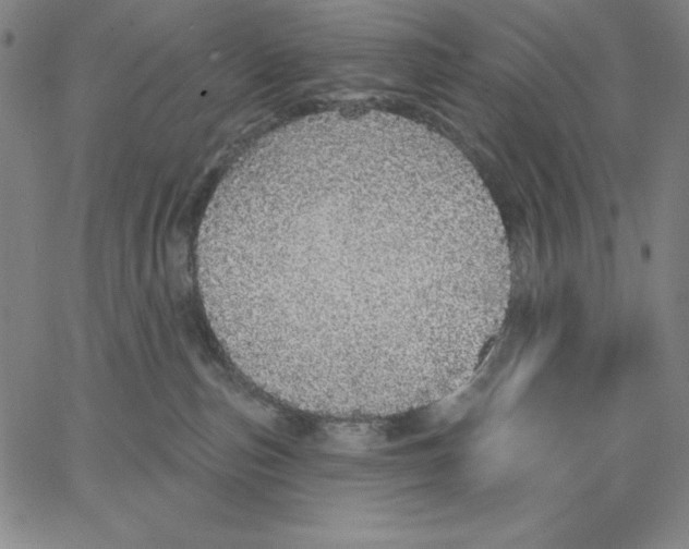 X0000066530187200604071626