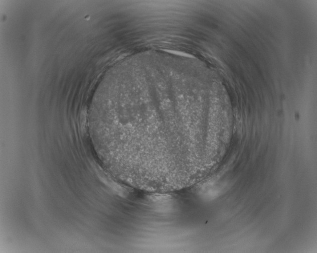 X0000066530189200604071626