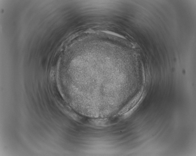 X0000066530191200604071626