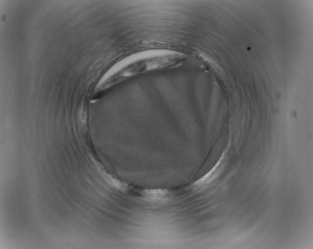 X0000066530192200604071626