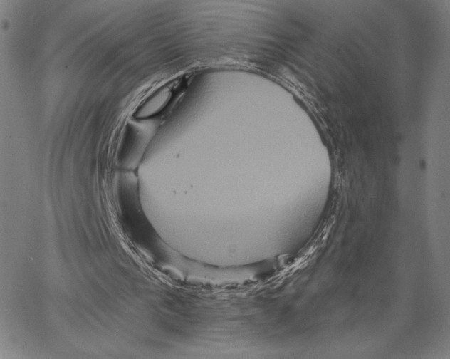 X0000066530193200604071625