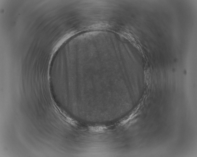 X0000066530196200604071625