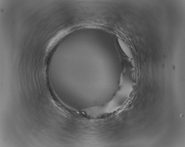 X0000066530197200604071625