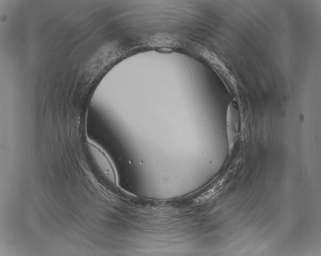 X0000066530201200604071625