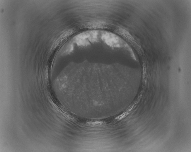 X0000066530202200604071625