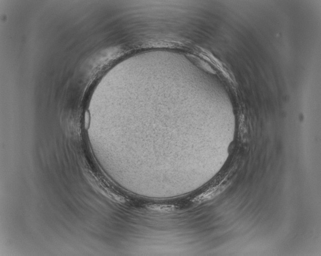 X0000066530203200604071625