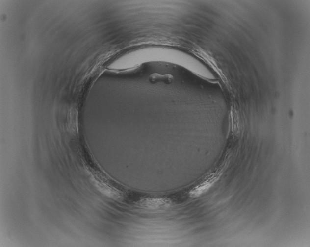 X0000066530205200604071625