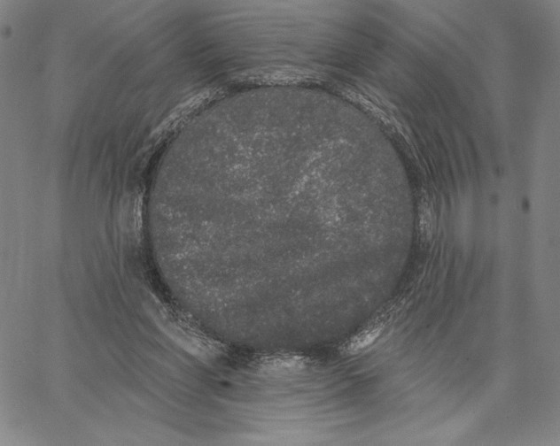 X0000066530206200604071625