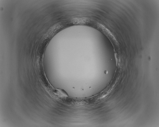 X0000066530209200604071625