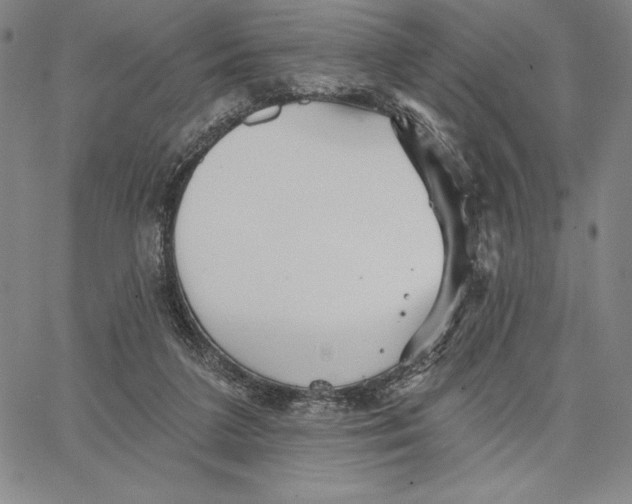 X0000066530211200604071625