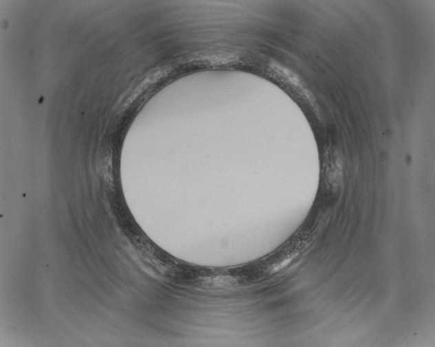 X0000066530212200604071625