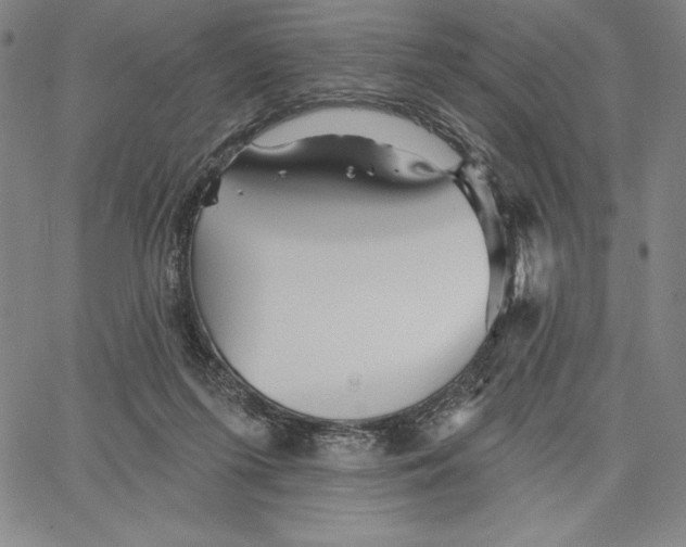 X0000066530215200604071625