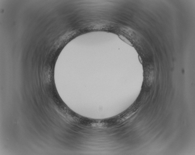 X0000066530216200604071625