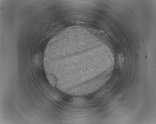 X0000066530218200604071625