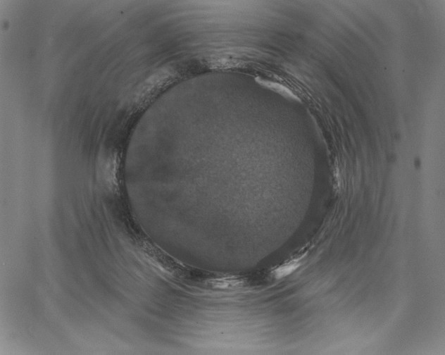 X0000066530219200604071625