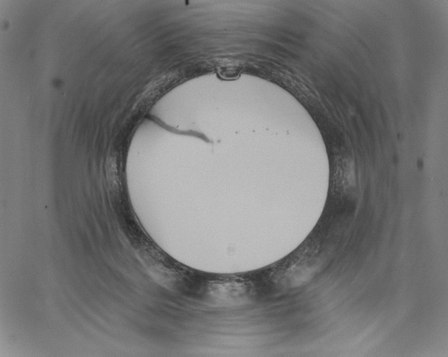 X0000066530220200604071625