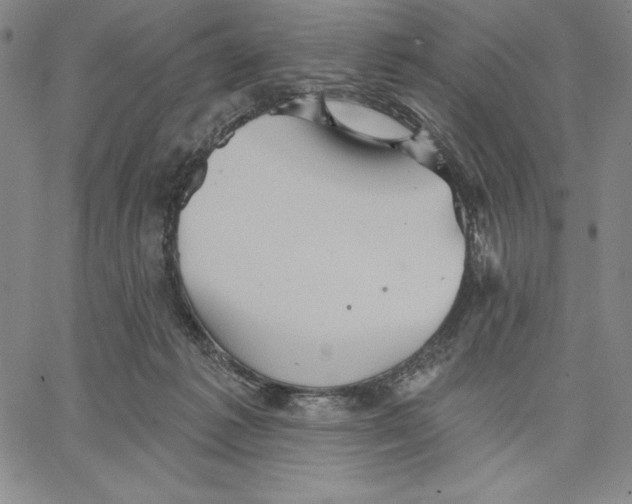 X0000066530221200604071625