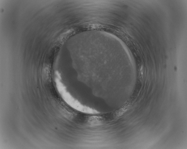 X0000066530222200604071625