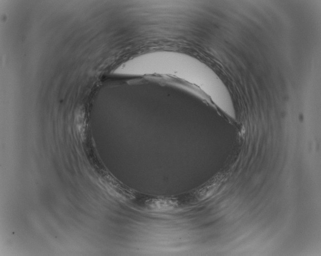 X0000066530223200604071625