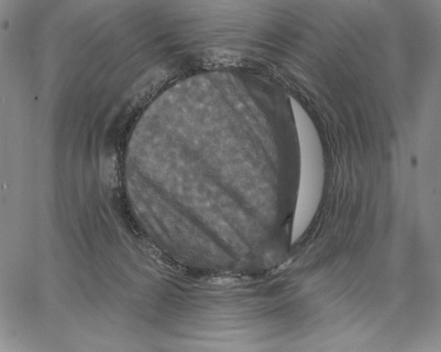 X0000066530224200604071625