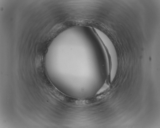 X0000066530225200604071625