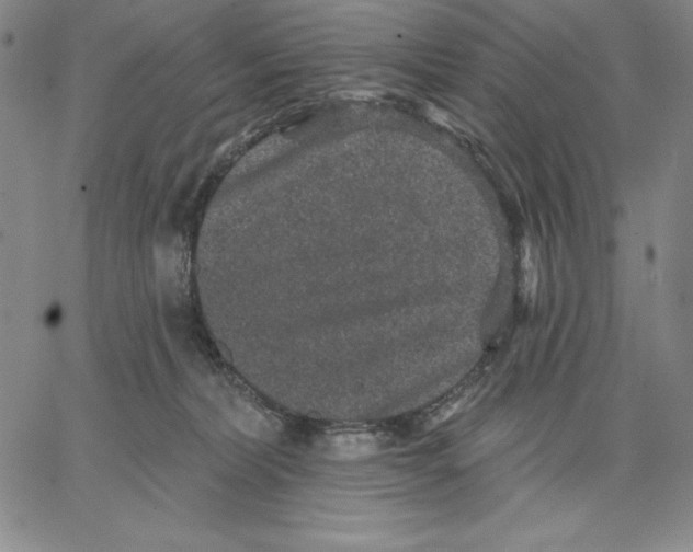 X0000066530228200604071625