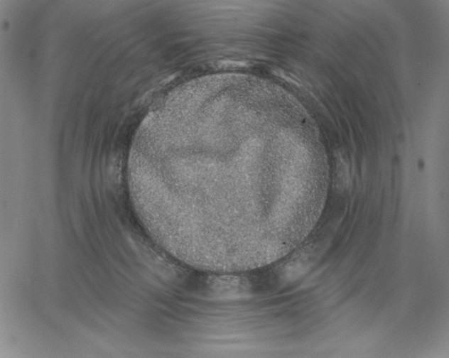 X0000066530230200604071625