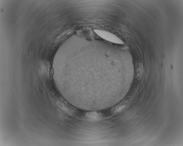 X0000066530231200604071625