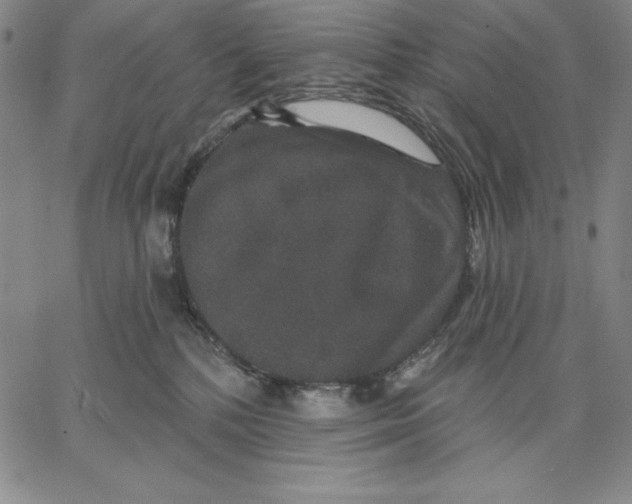 X0000066530232200604071625