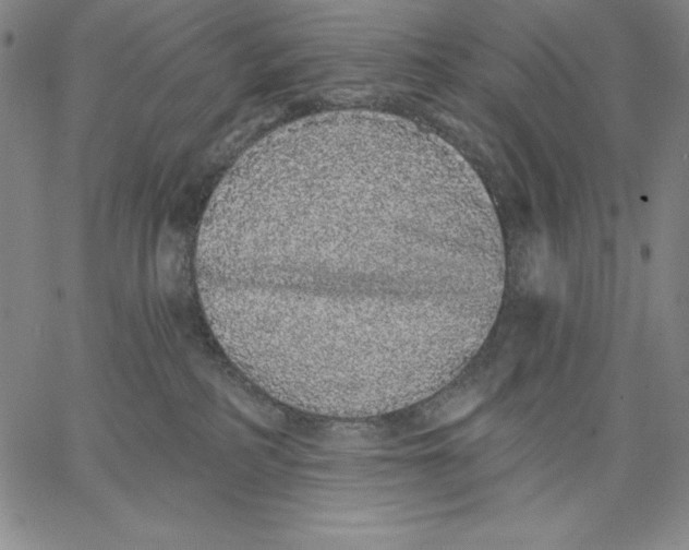 X0000066530234200604071625